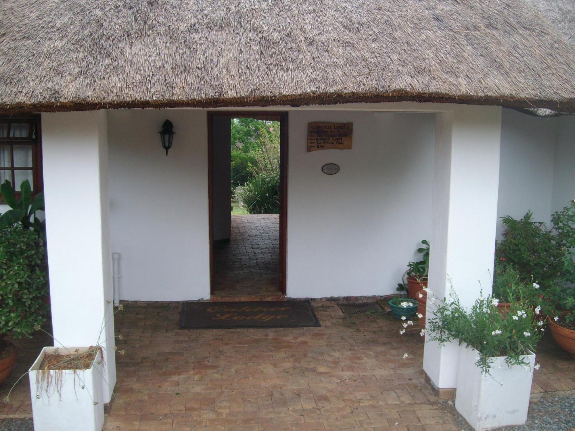 Kyalami Oaktree Lodge Guest House מראה חיצוני תמונה
